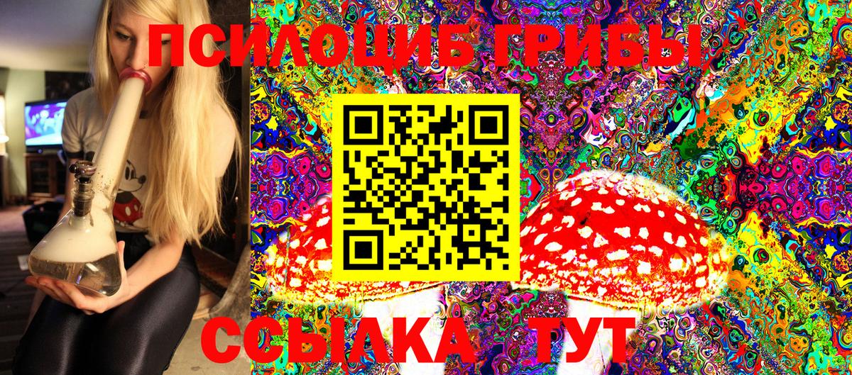 Галлюциногенные грибы MAGIC MUSHROOMS  Псилоцибиновые грибы Magic Shrooms  дарнет шоп  Алейск  Вход с VPN 