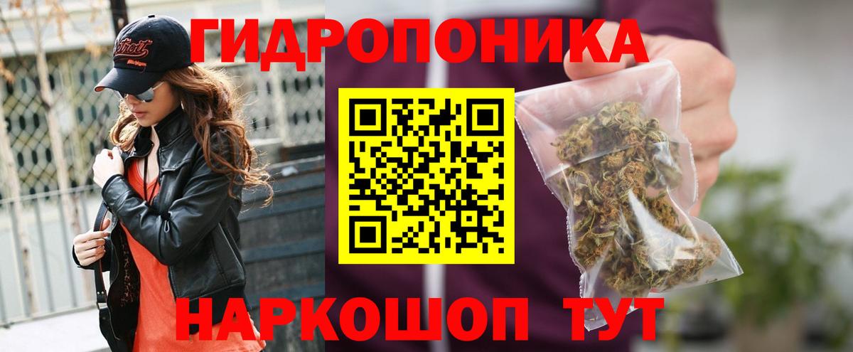 Каннабис план Алейск